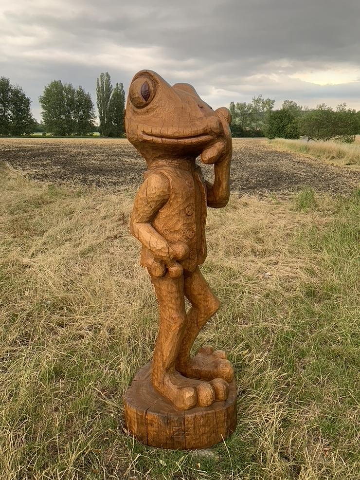 Zamyslená žába